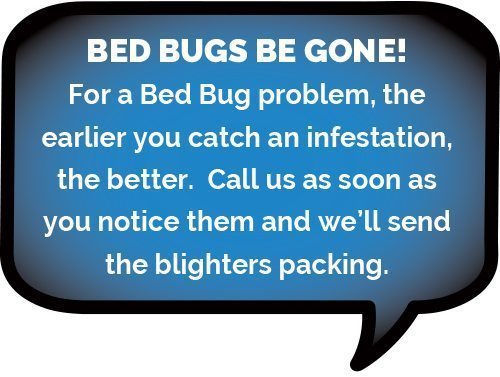 Bed-Bug Treatments more common