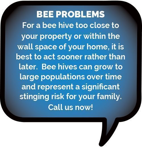 www.activepest.com.au/bees-wasps
