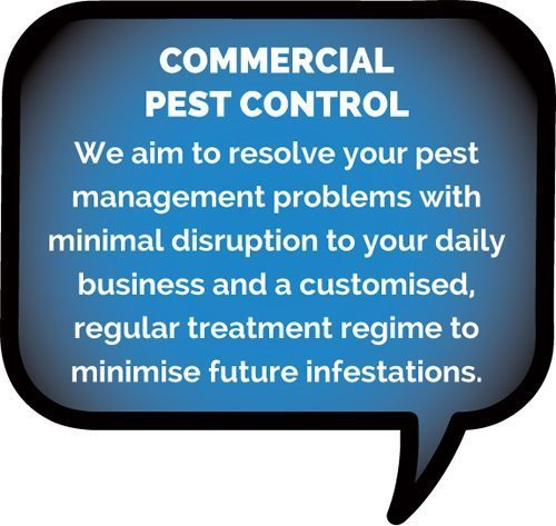 Commercial Pest control byron bay
