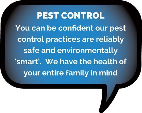 Pest Control Lismore
